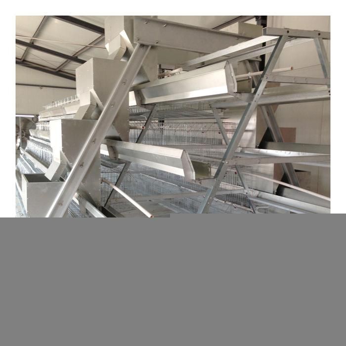 Chicken Layer Battery Cage for Layer Chicken Popular in Africa Market