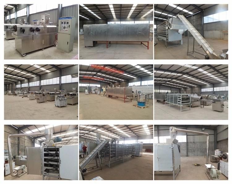Continuous Automatic Dry Pet Food Equipment Dog Feed Making Machine