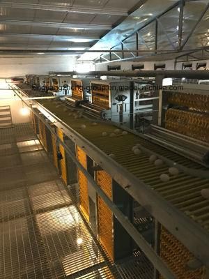 Storage for Egg. (The central set egg chamber)
