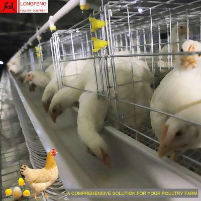 Hot New a Type Longfeng China Egg Chicken Equipment Poultry Farm Cage