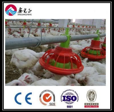 Steel Structure Poultry House (BYPH-220521009)