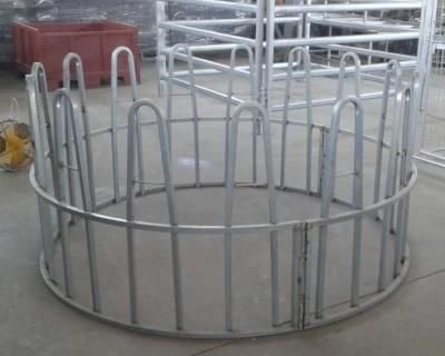 Sheep Feed Ring Without Plate/Feeder