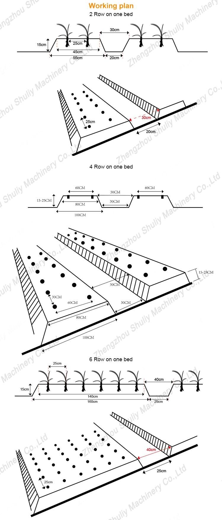 Onions Seedling Planting Machine Seedling Transplanter Machine