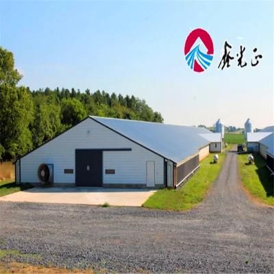 Fully Automatic Poultry Farm Machinery and Prefab Steel Structure Poultry House