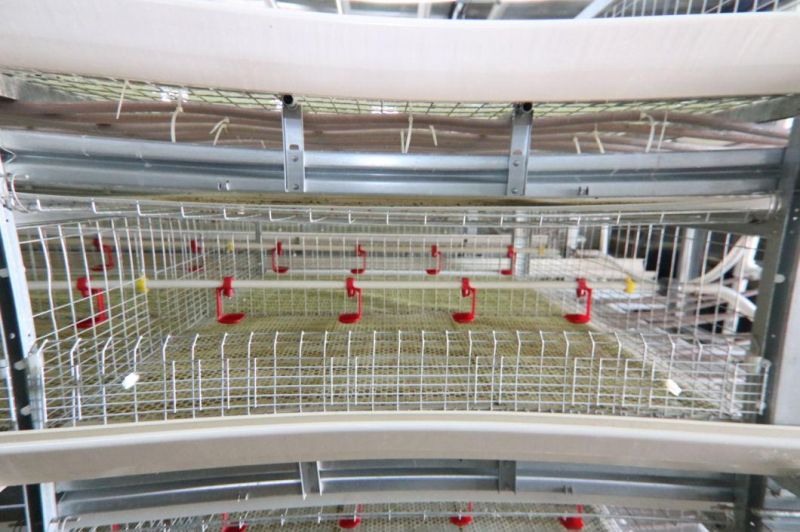 Poultry Farm Equipment Chicken Plastic Water Lubing Nipple Cup Drip Drinker