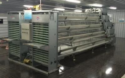 H Type Layer Chicken Equipment with Ce