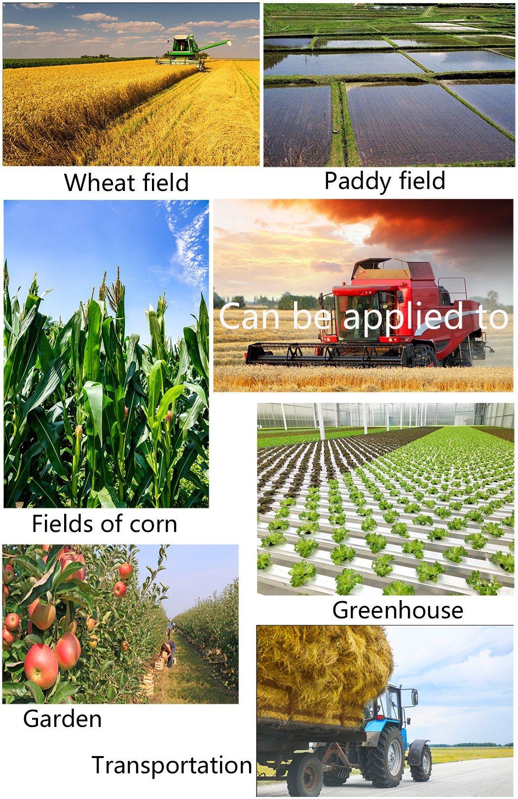 From China Super High Quality 4WD Compact Agricultural Machinery /Farm /Garden/ Lawn Tractors