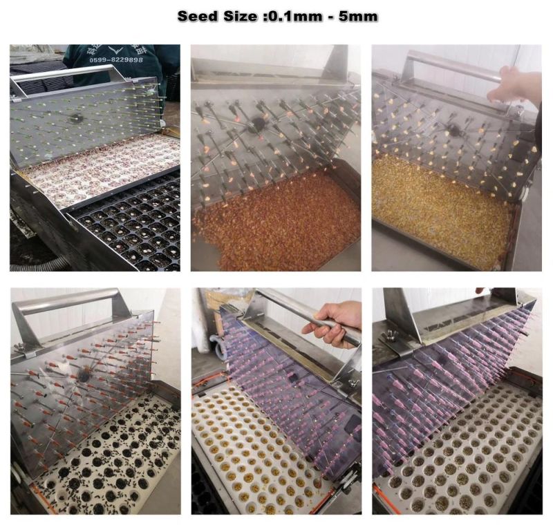 Vegetable & Flower Seeds Automatic Soil Filling and Seed Sowing Plug Tray Seeder Line with High Speed and Precision