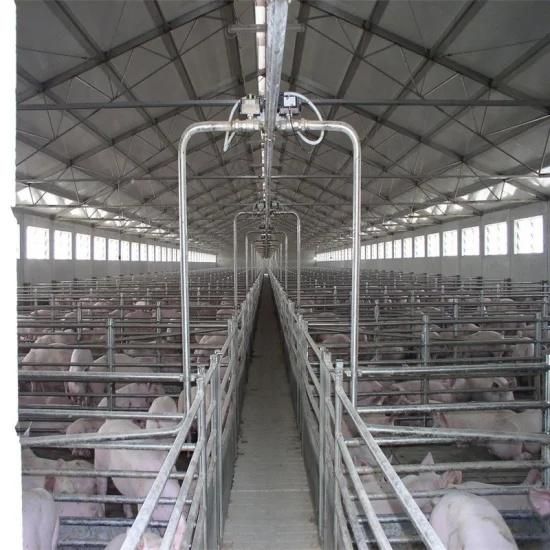 Low Cost Practical Prefab Steel Structure Good Quality Poultry Houses Pig