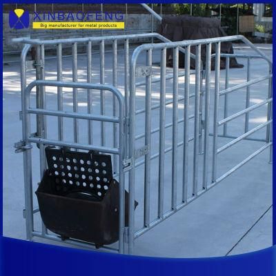 Pig Farming Equipment Pig Farrowing Crate for Pig Farm