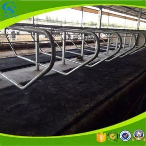 Cattle Dairy Farming Equipent Separatly Galvanized Cow Free Stall