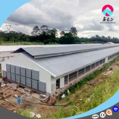 High Quality Low Price Steel Structure Chicken House