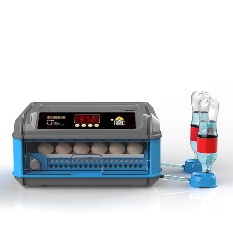 Newest 12-72 Egg Incubator Small Hatchery Machine Household Incubators