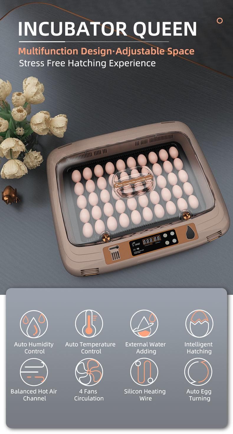 Best Selling New Model High End Auto 50 Eggs Incubator for Ebay Retail