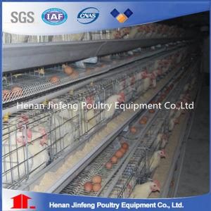 High Quality Chicken Egg Layer Cage Poultry Battery Cages
