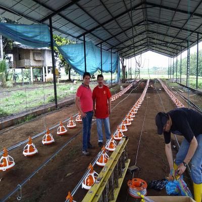 Ubest Chicken Feeding System for Poultry Farm