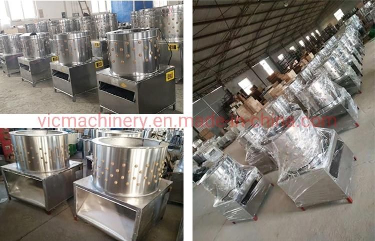 Automatic heating system stainless steel Chicken Plucker Machine