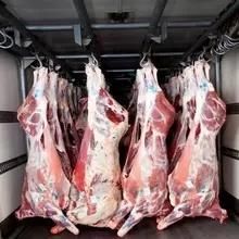 Halal Slaughter Machine for Sheep Slaughter House Equipment