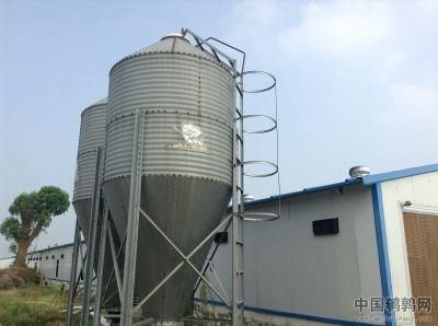 Layer Egg Chicken Cage/Poultry Farm House Design/Automatic Breeding Equipment in China