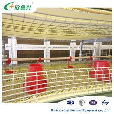 Automatic Galvanized Battery Chicken Cages for Hens