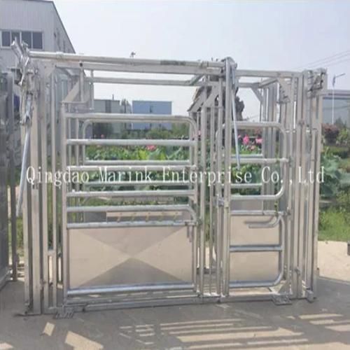 Hot DIP Galvanized Cattle Crush/ Squeeze Chut