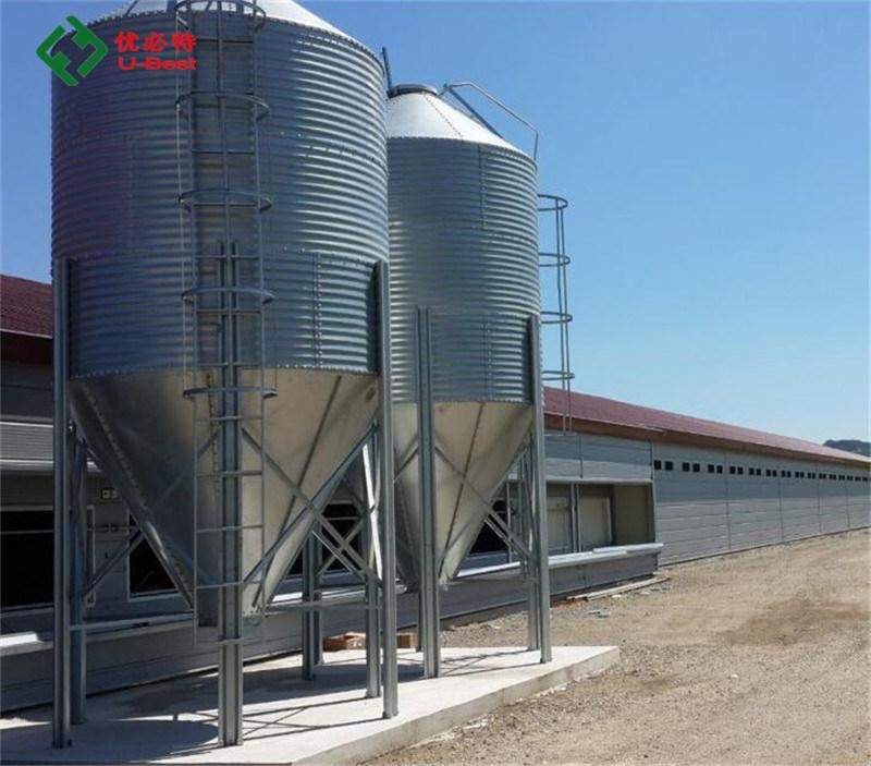 Automatic Chicken Broiler Poultry Farm House Design