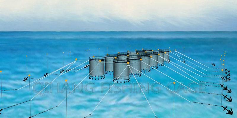 Deep Sea Fish Farming Cage