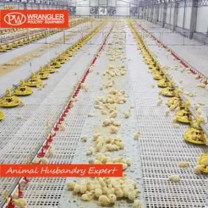 Poultry Feeding System for Poultry Pan Feeder