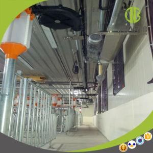 Wholesale Pig Farm Equipment Chain Disc Feeding System