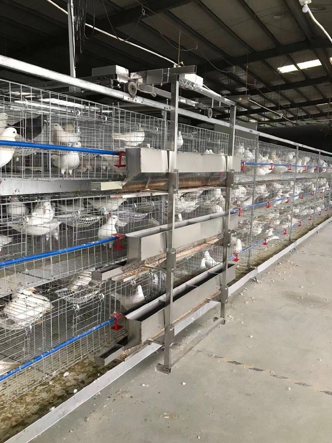Automatic Feeding Drinking Dove/Pigeon Cage Pigeon Equipment