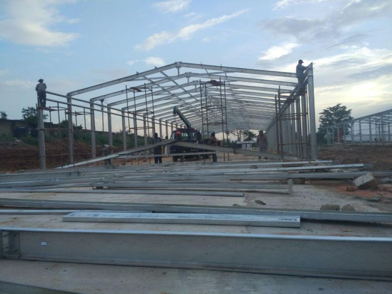 Turkmenistan Prefab Steel Structure Poultry House