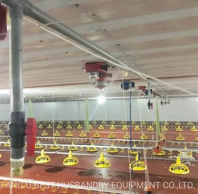 Poultry Breeder Hen Farm Chain Feeding System Equipment