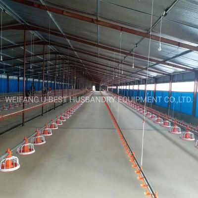 Modern Design Animal Feeder Poultry Farm Equipment