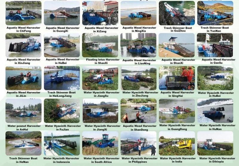 Qingzhou Aquatic Weed Harvester Weed Harvester Boat