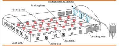 Poultry Equipment High Quality Chicken Floor, Farming Plastic Slatted Flooring for Chickens