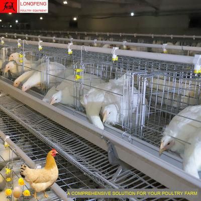 Poultry Farming Equipment 1 Year Warranty Layer Battery Egg Chicken Cage