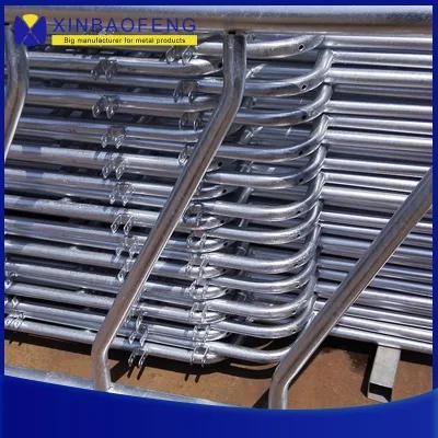 Cattle Self-Locking Headlock Free Stalls for Sale Cow Stall Design