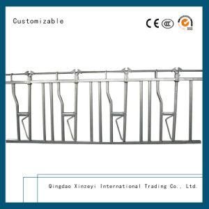 Livestock Machinery Hot DIP Galvanized Cattle Headlock