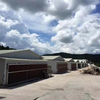 Chinese High Tech Self Designed and Manufactured Automatic Layer Shed