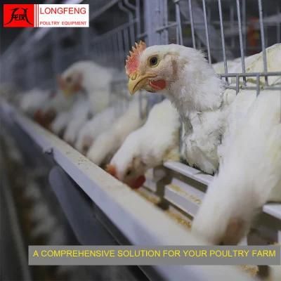 Automatic Farming Equipment Incubator Broiler Chicken Cage for Asian Farm