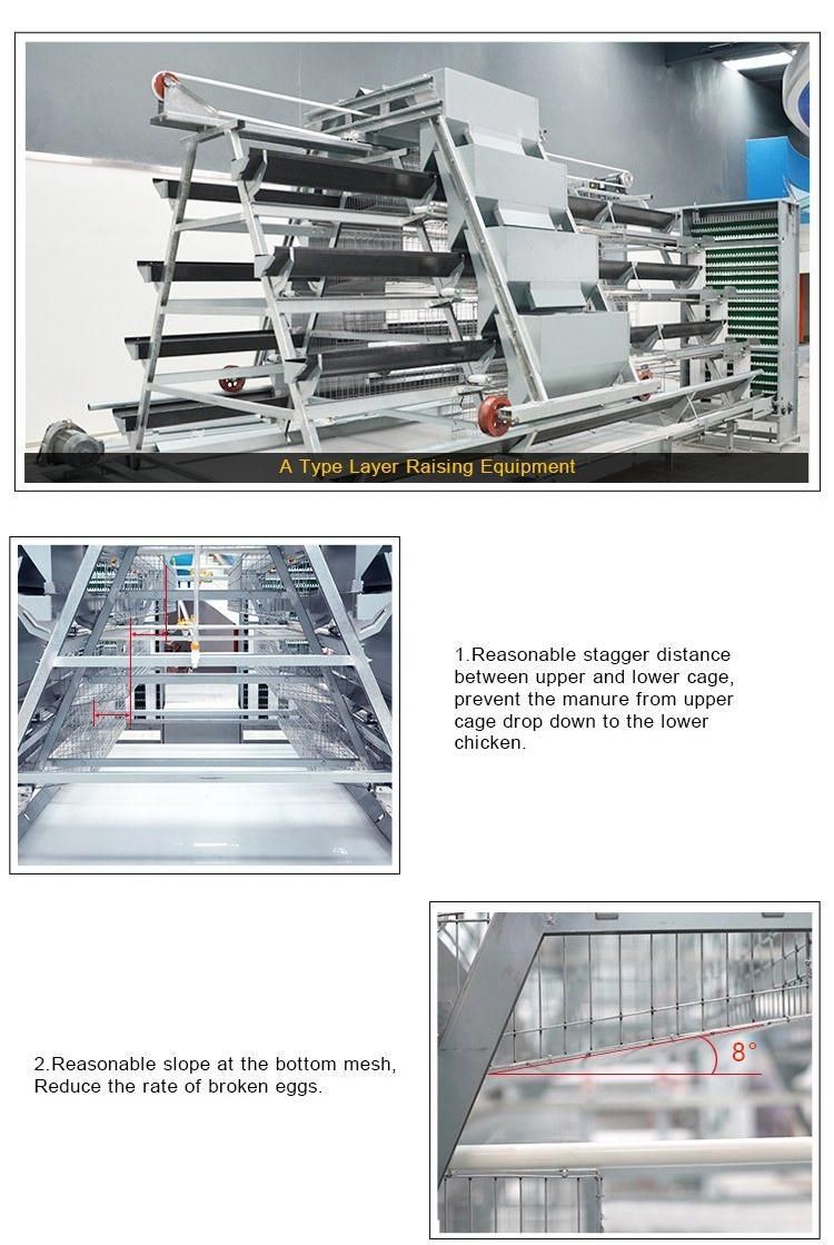 Stepped Chicken Cages Capacity 98 Chickens for Layer Hens Poultry Equipment