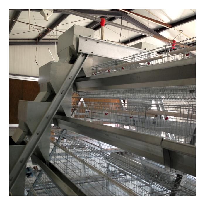 Modern Poultry Farm Equipment a Type Automatic Chicken Layer Battery Cages for Sales