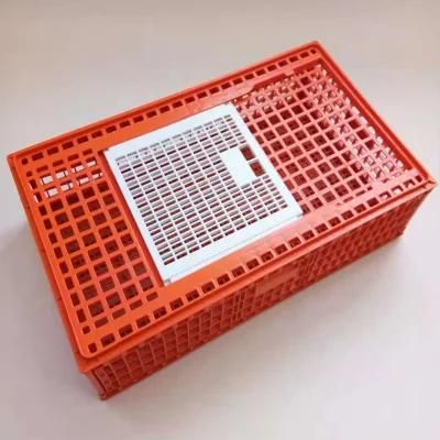 HDPE Plastic Chicken Transport Crate /Poultry Carrying Boxes
