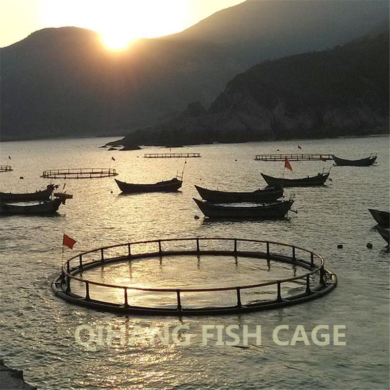 Factory Price Fish Farming Cage Sea Fish Breeding Floating Cage