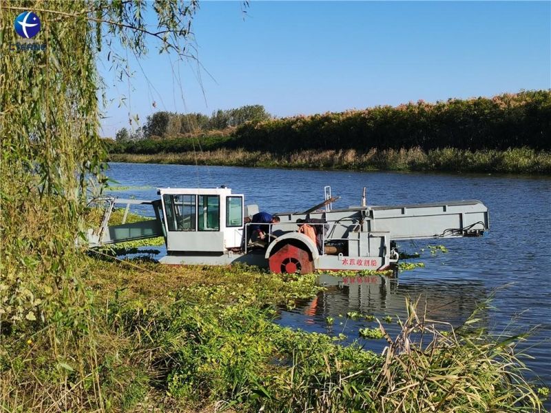 Water Hyacinth Mowing Vessel Grass Cutting Cleaning Boat