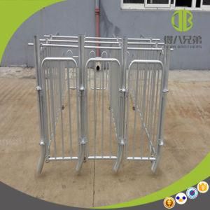 Customized Gestation Stall Induvidual Cage Pig Cage for Sale