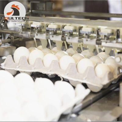 Egg Grading Machine &amp; Egg Packing Machine 30000 Eggs/Hour From China