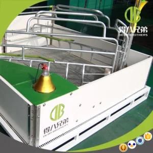 Pig Farming Equipment Farrowing Crate for Sale with Factory Price