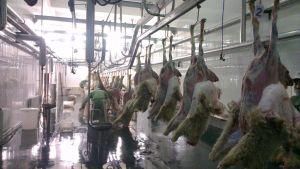 Sheep Slaughterhouse Manual Rail Hooks Slaughter Equipment Sheep Small Scale Matadero Equipo Ovejas