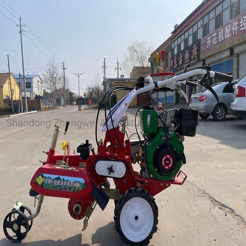Multi-Functional Agricultural Machinery Mini Type Power Tiller Pastoral for Strawberry